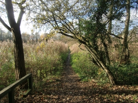 Wegberg-Arsbeck : Der Dammweg trennt die beiden Raky-Weiher und führt direkt zur Motte Alde Berg